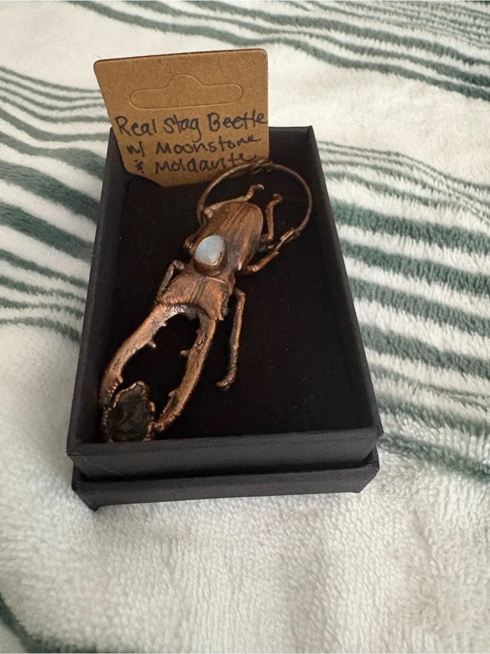 Electro formed Copper Stag Beetle necklace with Moonstone and moldavite